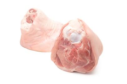 3252-4328302_v_koleno_special_2_webxl